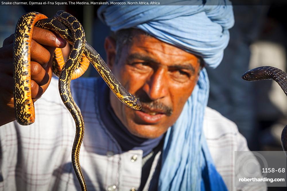 Snake charmer, Djemaa el-Fna Square, The Medina, Marrakesh, Morocco, North Africa, Africa