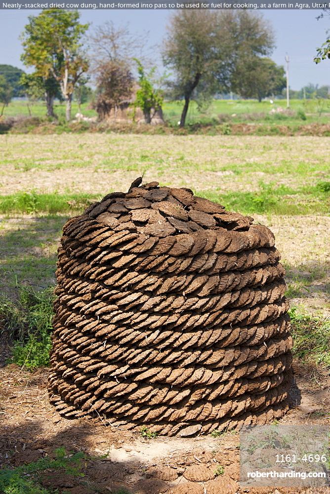 Neatly-stacked dried cow dung, hand-formed | Stock Photo