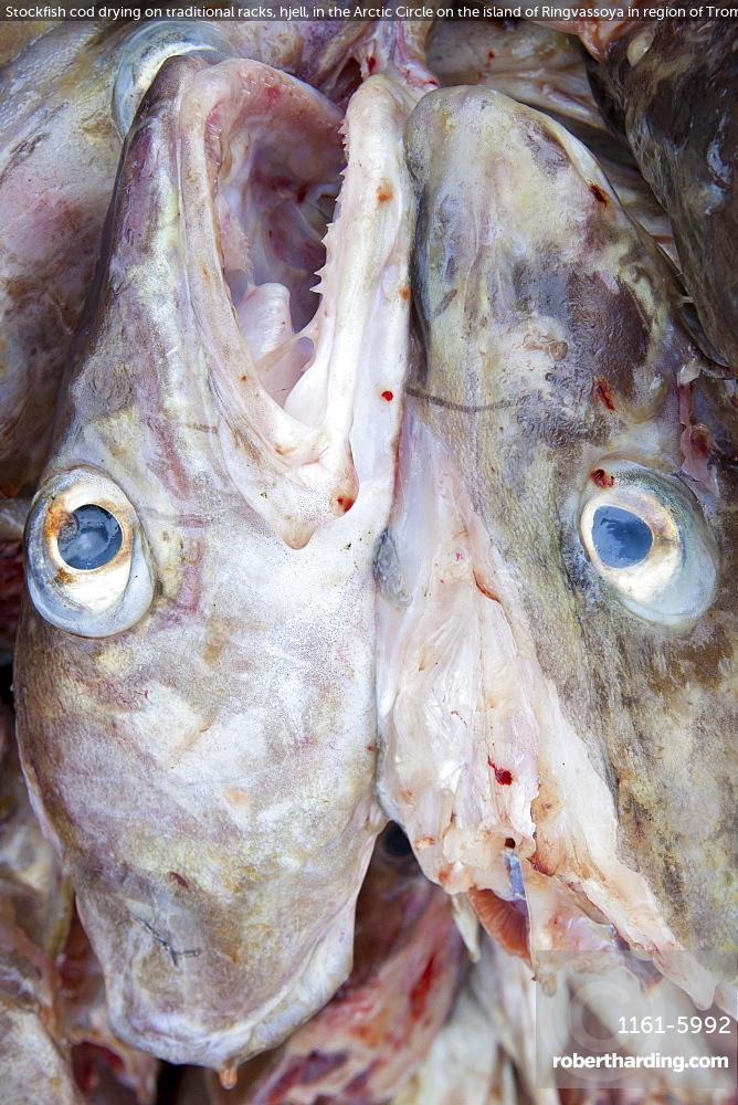 Stockfish – Bacalhau Northern Fish