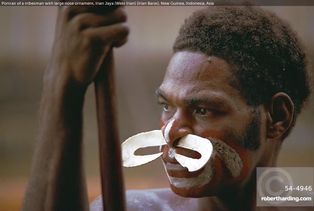 Portrait of a tribesman with large nose ornament, Irian Jaya (West Irian) (Irian Barat), New Guinea, Indonesia, Asia